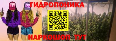 прущие крисы Севастополь