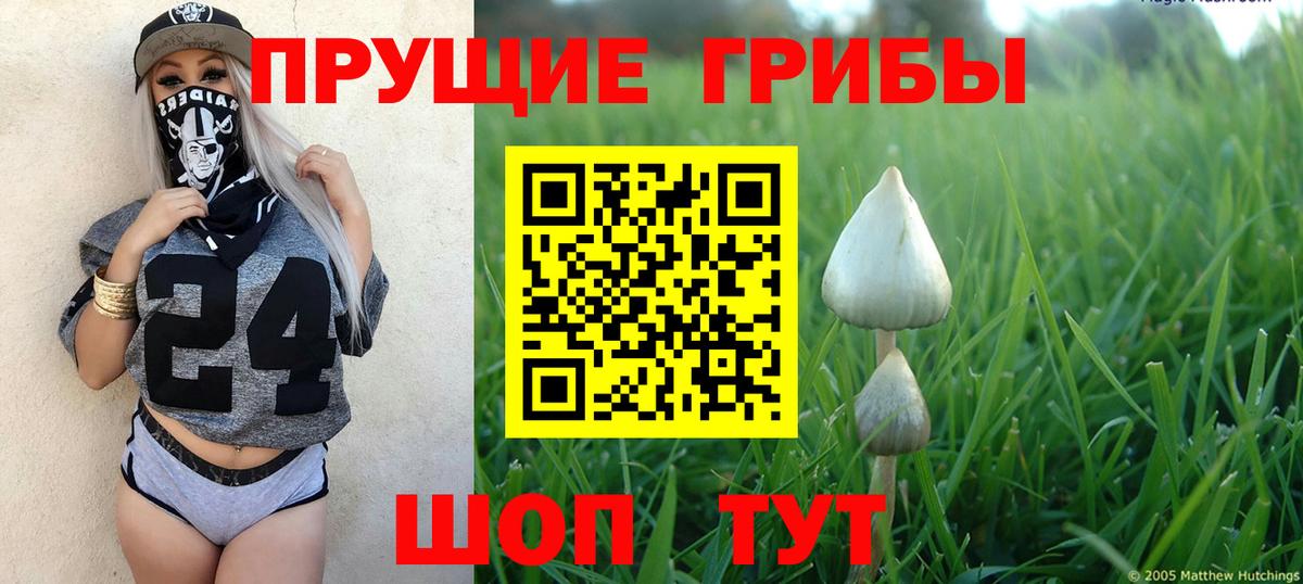 Псилоцибиновые грибы ЛСД Рыбинск