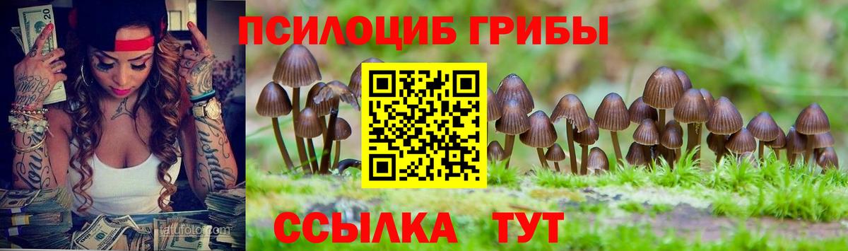 Галлюциногенные грибы GOLDEN TEACHER  Галлюциногенные грибы Psilocybine cubensis  Рыбинск  Вход с VPN 